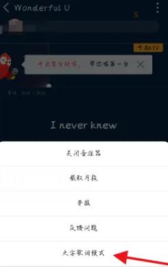 全民k歌ktv模式怎么开启(图3)